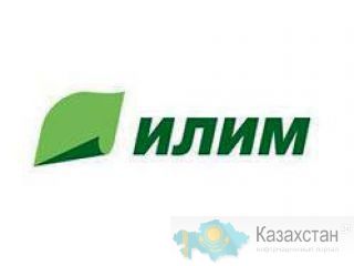 Группа «Илим» реализует неликвиды своих предприятий Санкт-Петербург