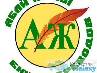 Качественные и быстрые переводы Астана