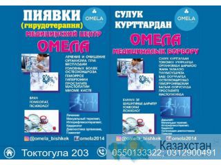 Медецинский Центр Омела Бишкек
