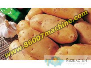 Оборудование для мойки и сушки картофеля Другое месторасположение