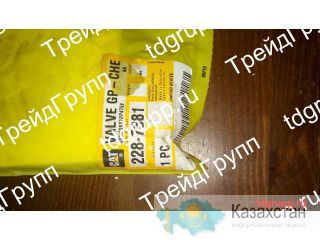 228-7381 клапан CAT Астана и Акмолинская область