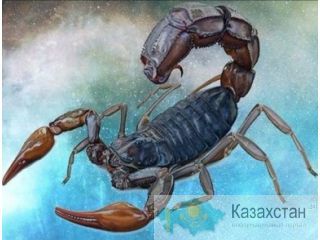 Требуются моторист,ходовик, токарь Алматы
