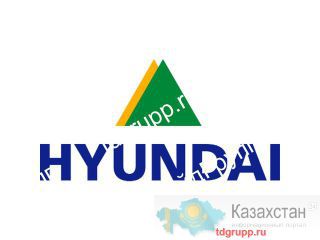 31ND-60010 Гидроцилиндр ковша Hyundai R800LC-7A Астана и Акмолинская область