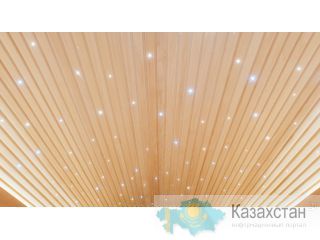 «Звездное небо» в финских саунах и русских банях. Алматы и Алматинская область