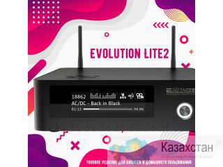 Караоке Evolution Lite2 топовое решение для бизнеса и домашнего пользования Cарань
