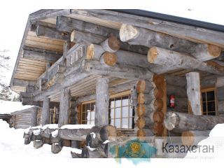 Строительство домов из Карельской сухостойной сосны Астана