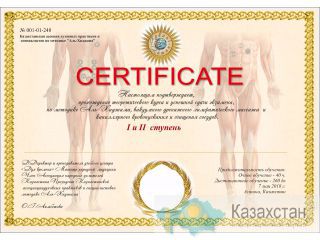 Семинар Юмейхо, Хиджама и Висцеральный массаж Алматы