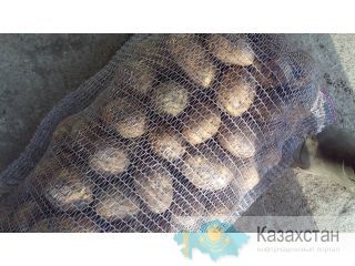 Продам сетку овощную Заводоуковск
