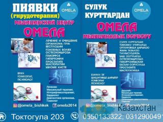 Лечение пиявками, гирудотерапия, стаж 20 лет Бишкек
