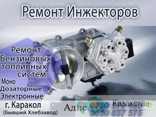 РЕМОНТ ИНЖЕКТОРОВ Каракол