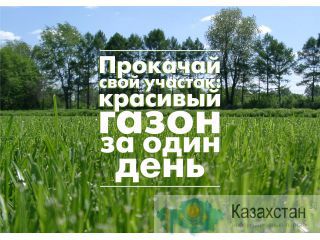 Рулонный натуральный Газон Екатеринбург
