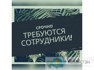 Стабильная работа для всех в Шымкенте Шымкент