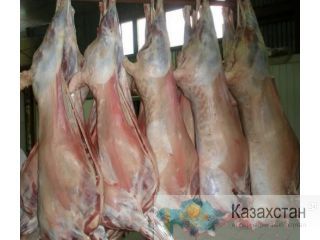 Говядина, баранина, мясо птицы, куриная разделка оптом от 1,5 тонны Алматы