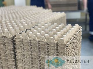 Линия для производства яичных лотков. Харбин