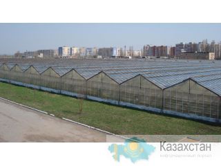 Каркасы теплиц промышленных и трубы бу оптом Алматы