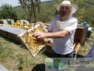 Агротур «Медовый» для жителей и гостей города Алматы! Алматы