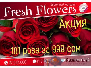 Акция 101 роза всего 999 сом +996700950081