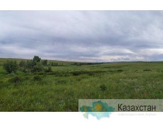 Участок 146 га, Молодёжное Усть-Каменогорск