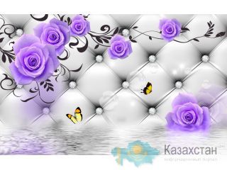 Фотообои для зала Жанаозен
