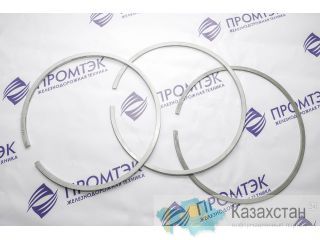 Кольцо поршневое уплотнительное Д50.04.006 Нур-Султан (Астана) и Акмолинская область