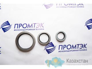 Сальник Д50.10.116 Нур-Султан (Астана) и Акмолинская область