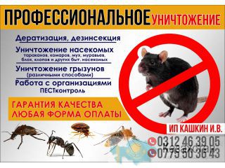 Уничтожение насекомых, грызунов! Другое месторасположение