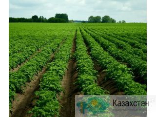 Продам участок  около Алматы Алматы и Алматинская область.