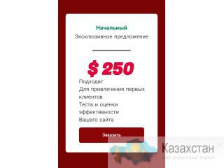 Реклама в контекстной системе Директ и Adwords Алмата