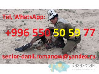 Voyages au Kyrgyzstan, guide, tourism, excursions, balades aux montagnes, chauffeur Kyrgyzstan, Bishkek, Kirghizistan