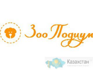 игрушки для кошек Новосибирск
