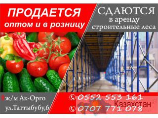 Сдаются в аренду строительные леса Бишкек