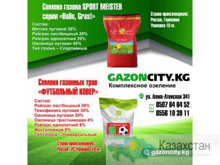 Семена газона SPORT MEISTER Другое месторасположение
