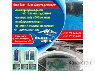 Продажа радужной форели Другое месторасположение