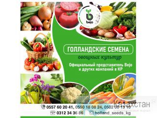 Голландские семена овощных культур. Другое месторасположение