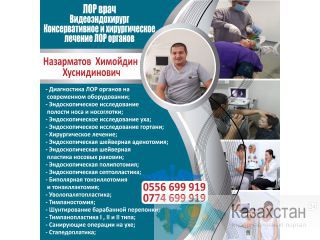 Эндоскопическое исследование ЛОР органов (ухо, горло, нос) Другое месторасположение