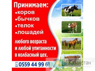 Колбасный цех! Другое месторасположение