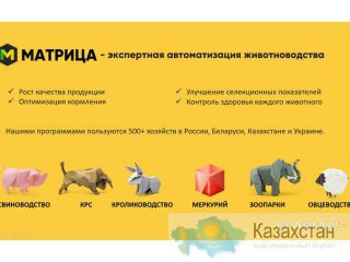 Матрица — экспертная автоматизация животноводства. Минск