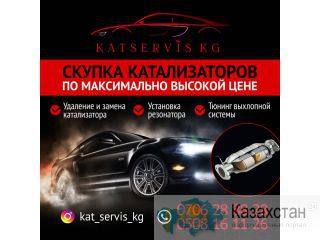 Скупка катализатора по максимально высокой цене! Бишкек
