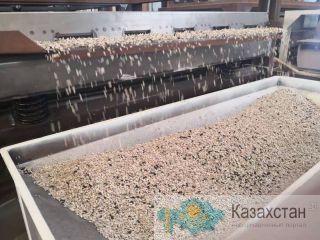 Оборудование для шелушения семечки подсолнечника Семей