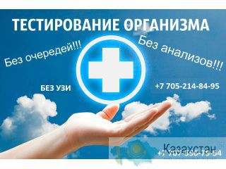 Тестирование всего организма. Алматы