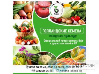 Голландские семена овощных культур. Другое месторасположение