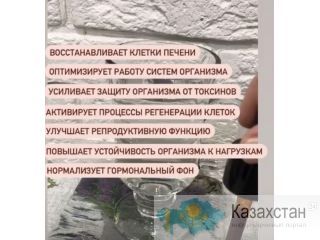 Здоровье превыше Всего. Караганда