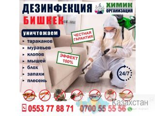 Предлагаем услуги по дезинфекции Другое месторасположение