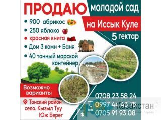 Продаю молодой сад на Иссык Куле! Другое месторасположение