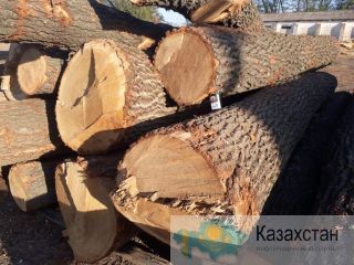 Круглый лес бука, дуба, ясеня, 1; 2 сорта. Белореченск, Краснодарского края,  Россия.