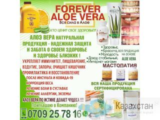 Продукция на основе Алоэ веры Бишкек