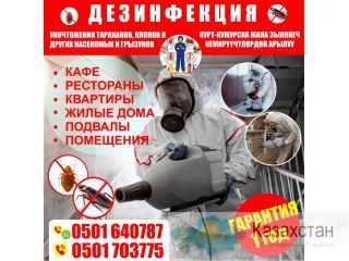 Уничтожение тараканов, клопов и других насекомых и грызунов. Бишкек