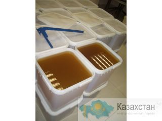 Мед пчелопродукты от производителя Алматы и Алматинская область