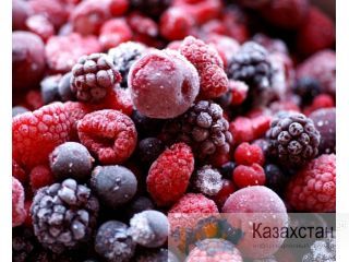 Овощи Ягоды Грибы замороженные  от производителя Алматы и Алматинская область