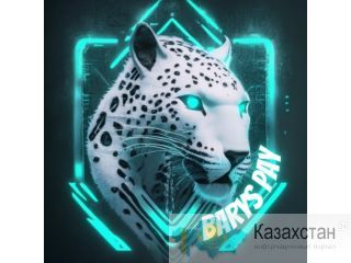 BarysPay - инновационная платежная система без ограничений. Алматы